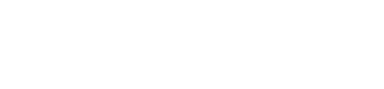 CyberServal