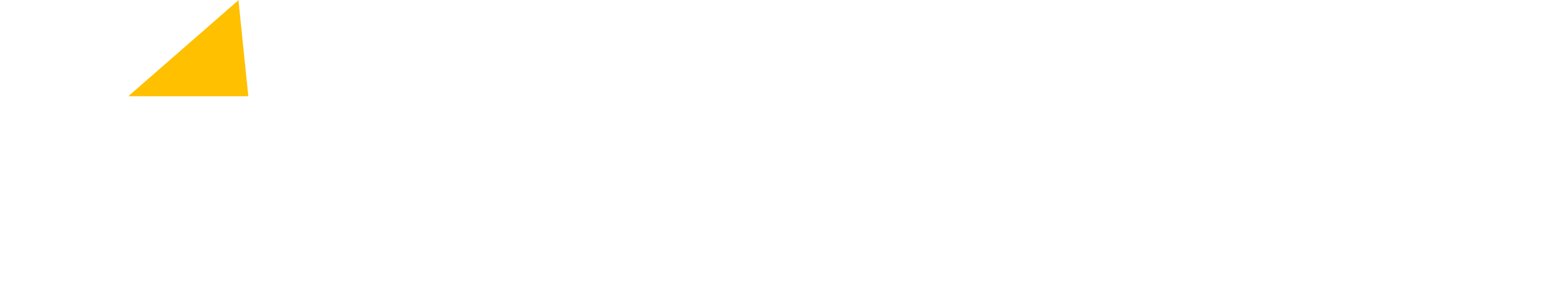 CyberServal Logo