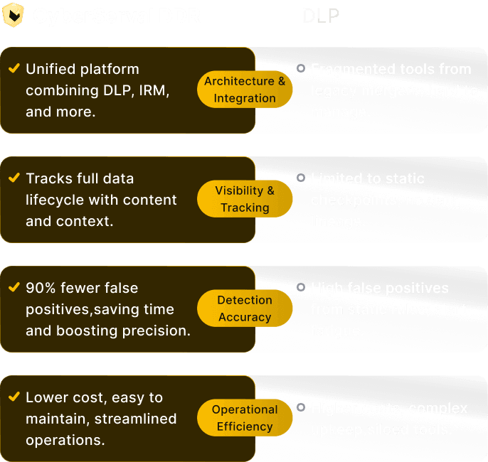 CyberServal DDR vs DLP