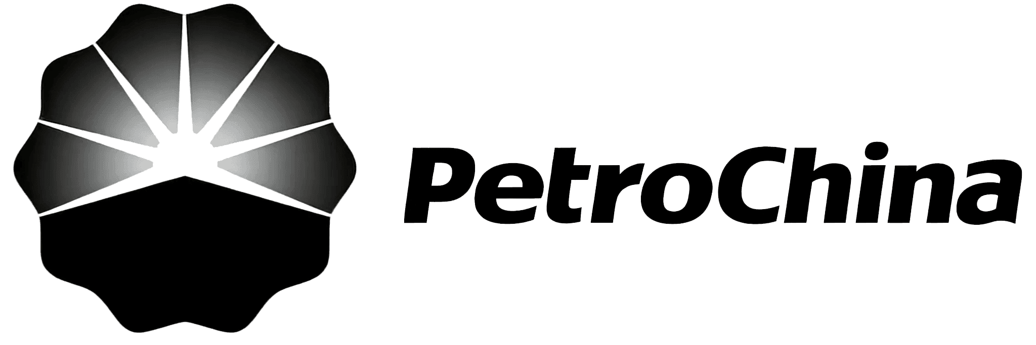 PetroChina