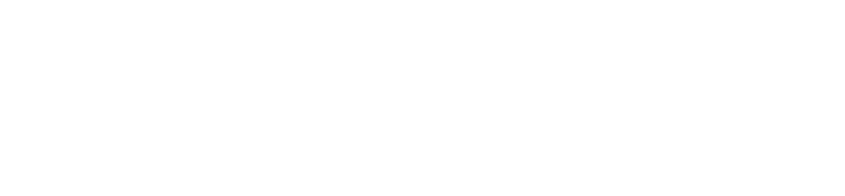 CyberServal Data Security