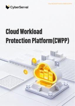 DDR whitepaper cover