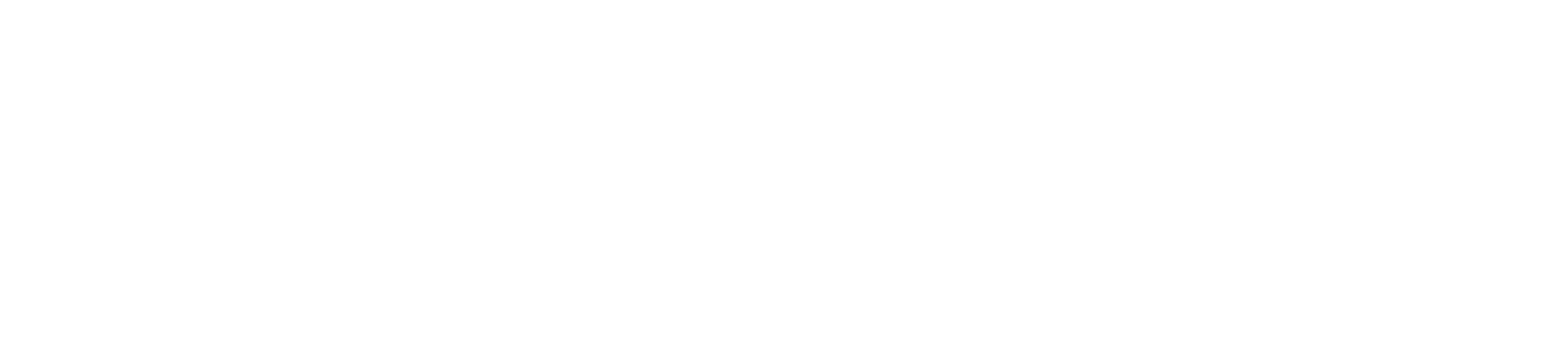 CyberServal