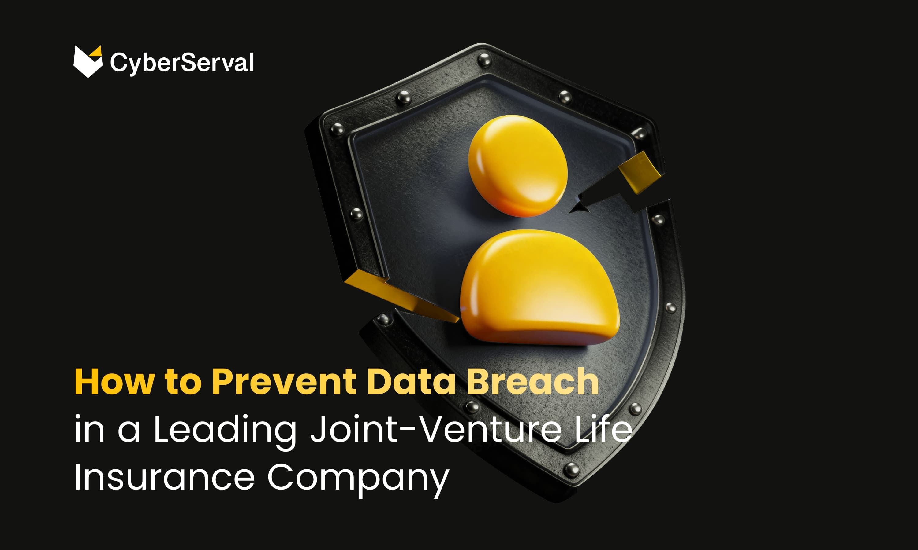 How to Prevent Data Breach in a Joint-Venture Life Insurance Company