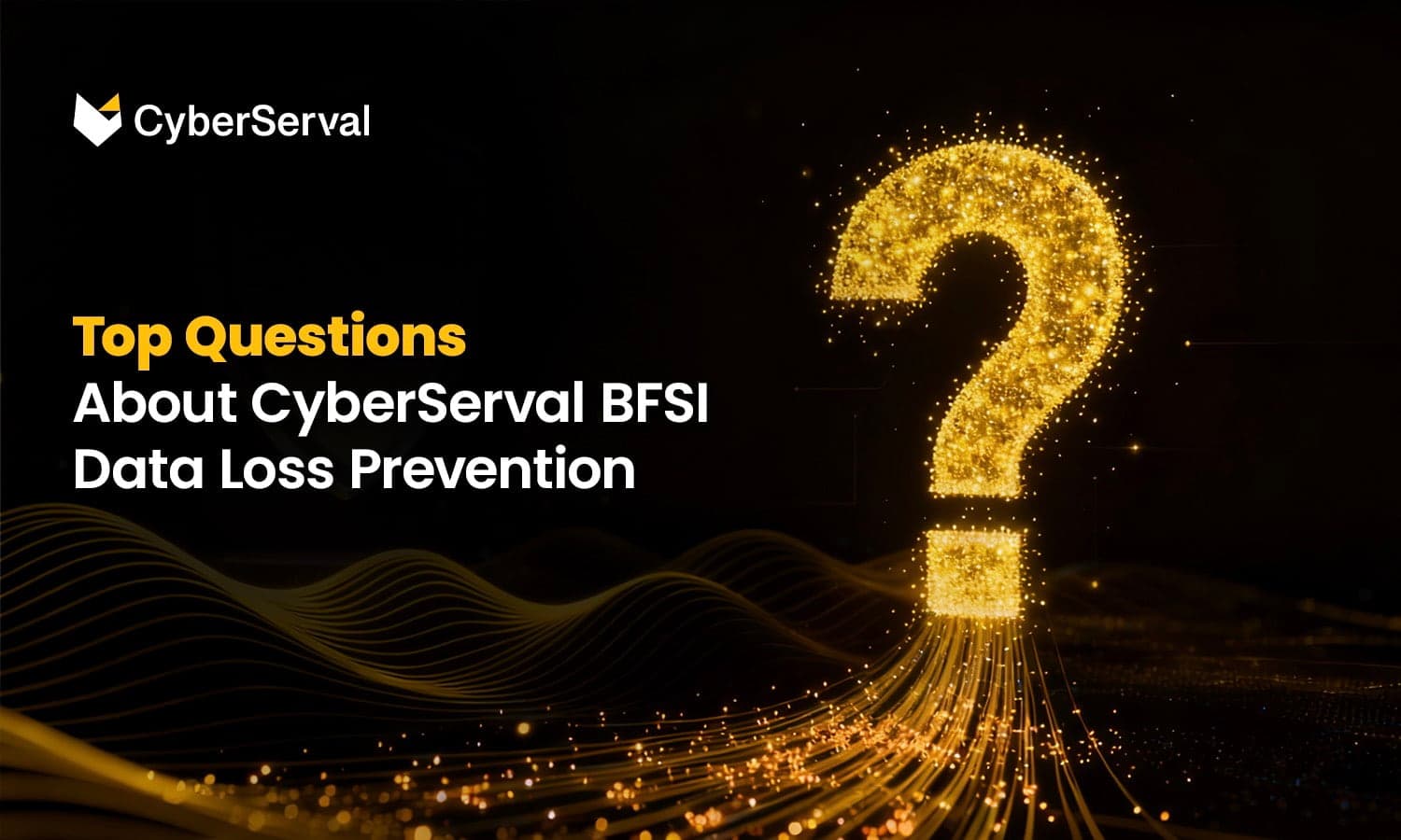 Top 10 Questions About CyberServal BFSI DLP